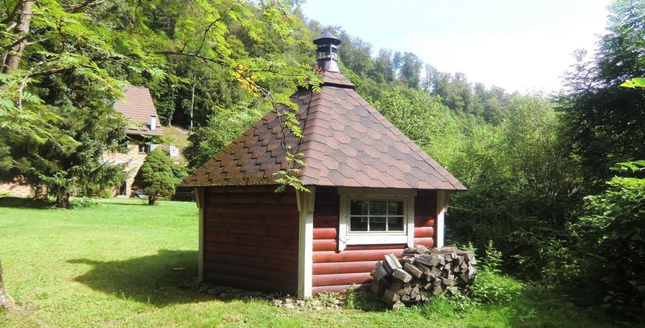 דירות Zorge Haus Am Wolfsbach מראה חיצוני תמונה