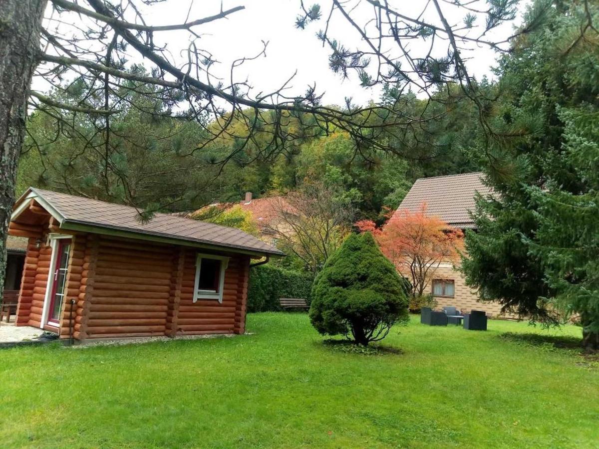 דירות Zorge Haus Am Wolfsbach מראה חיצוני תמונה