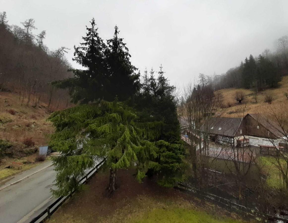 דירות Zorge Haus Am Wolfsbach מראה חיצוני תמונה